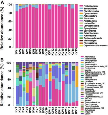 Identification and implications of a core bacterial microbiome in 19 clonal cultures laboratory-reared for months to years of the cosmopolitan dinoflagellate Karlodinium veneficum